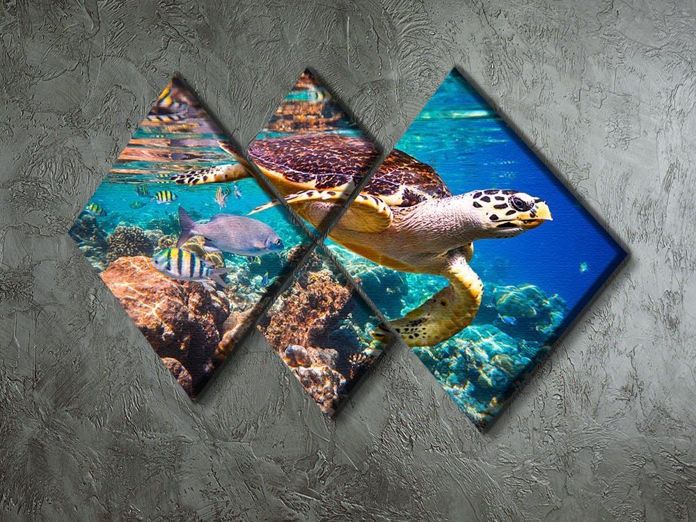 Eretmochelys imbricata 4 Square Multi Panel Canvas  - Canvas Art Rocks - 2