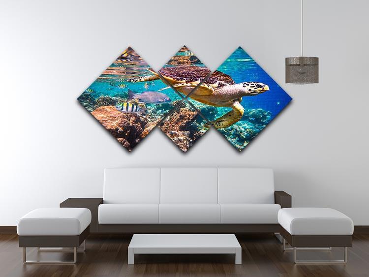 Eretmochelys imbricata 4 Square Multi Panel Canvas  - Canvas Art Rocks - 3