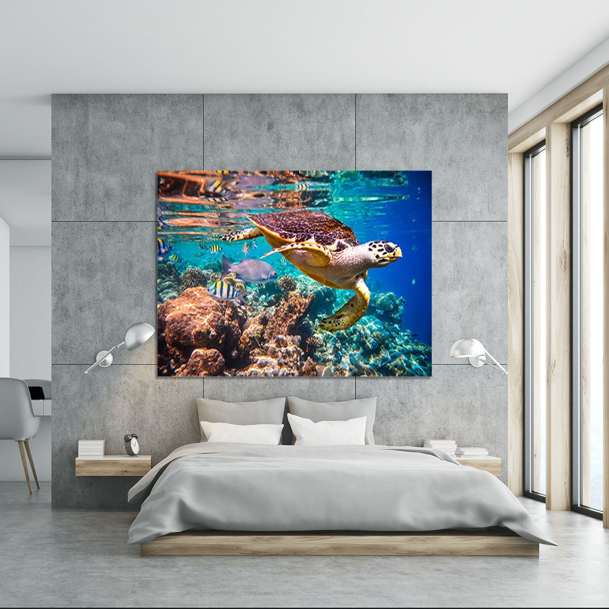 Eretmochelys imbricata Canvas Print or Poster