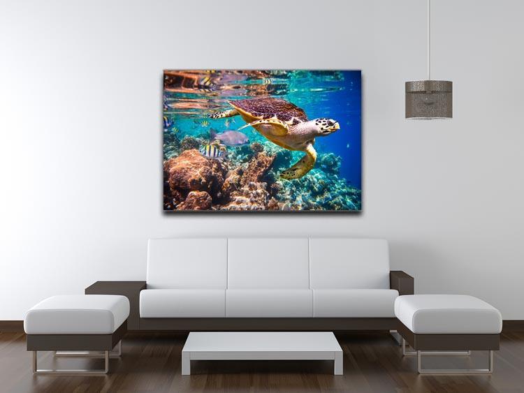 Eretmochelys imbricata Canvas Print or Poster - Canvas Art Rocks - 4