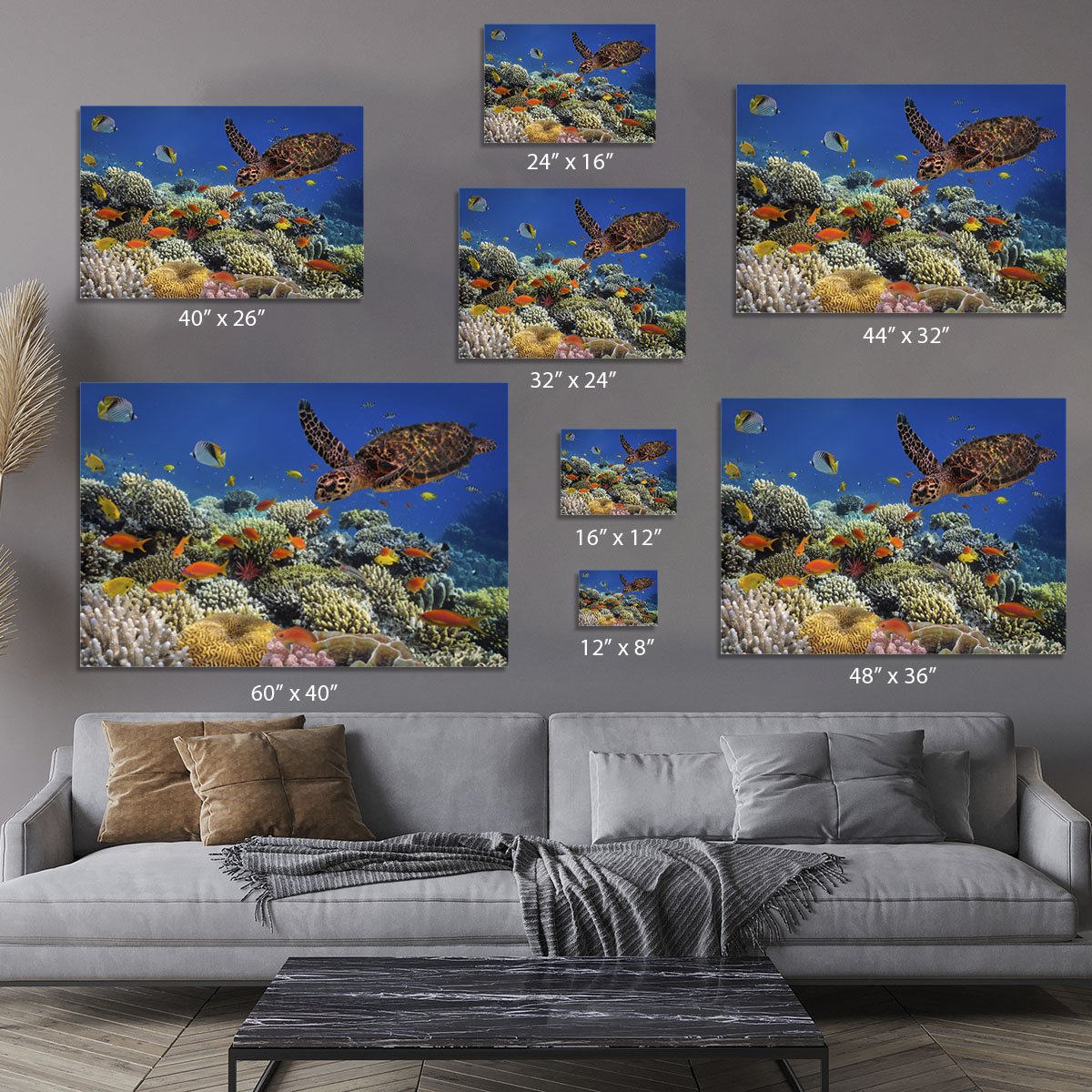 Eretmochelys imbricata floats under water Canvas Print or Poster