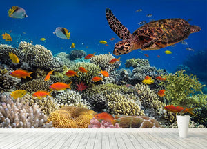 Eretmochelys imbricata floats under water Wall Mural Wallpaper - Canvas Art Rocks - 4