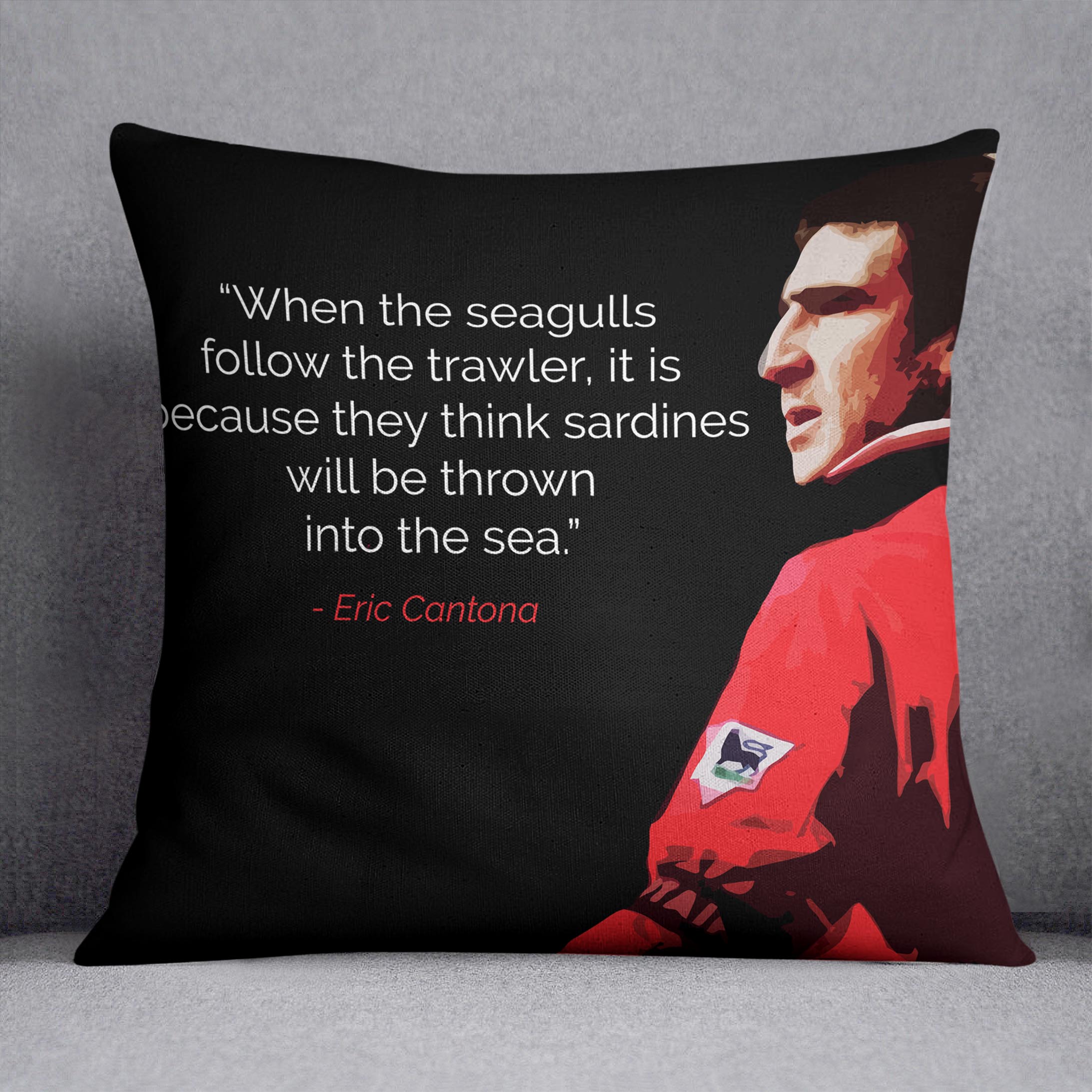 Eric Cantona Seagulls Cushion