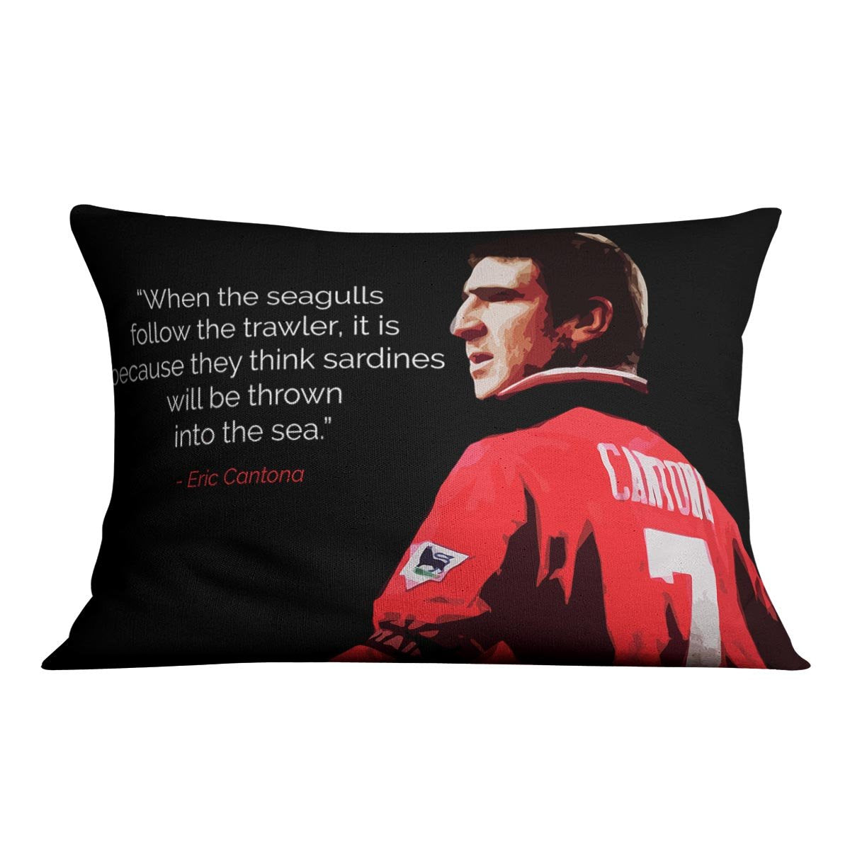 Eric Cantona Seagulls Cushion