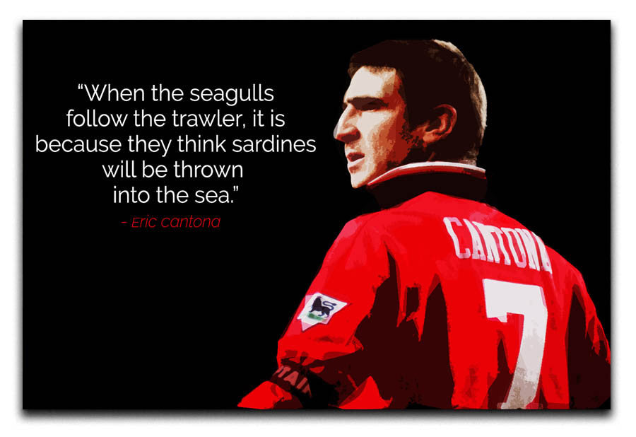 Eric Cantona Seagulls Canvas Print or Poster - Canvas Art Rocks