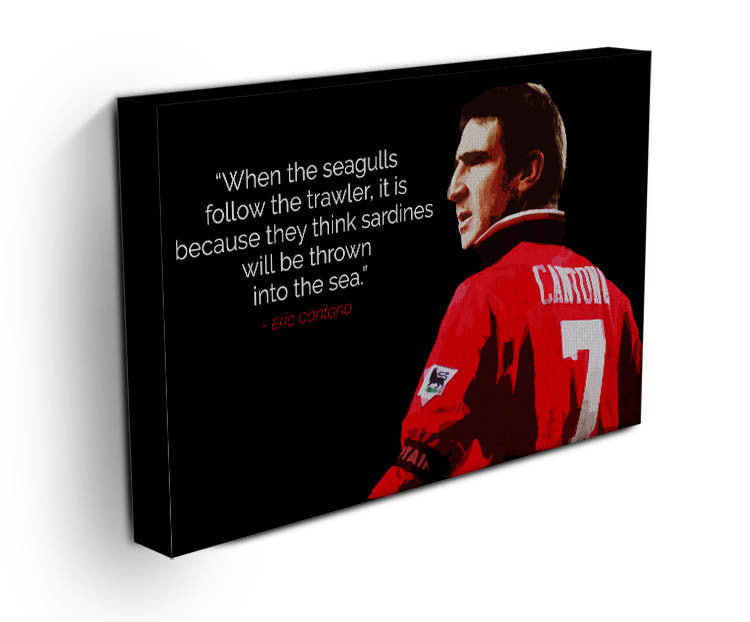 Eric Cantona Seagulls Canvas Print or Poster - Canvas Art Rocks