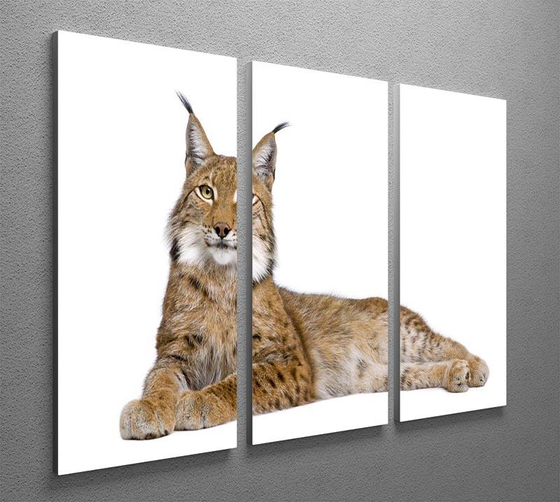 Eurasian Lynx 3 Split Panel Canvas Print - Canvas Art Rocks - 2