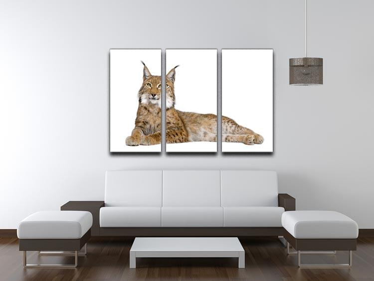 Eurasian Lynx 3 Split Panel Canvas Print - Canvas Art Rocks - 3