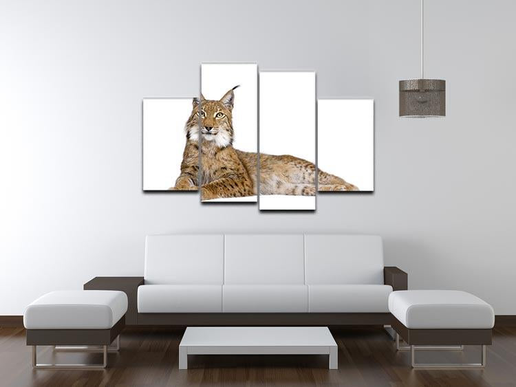 Eurasian Lynx 4 Split Panel Canvas - Canvas Art Rocks - 3