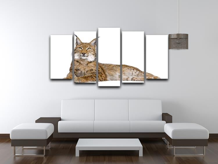 Eurasian Lynx 5 Split Panel Canvas - Canvas Art Rocks - 3