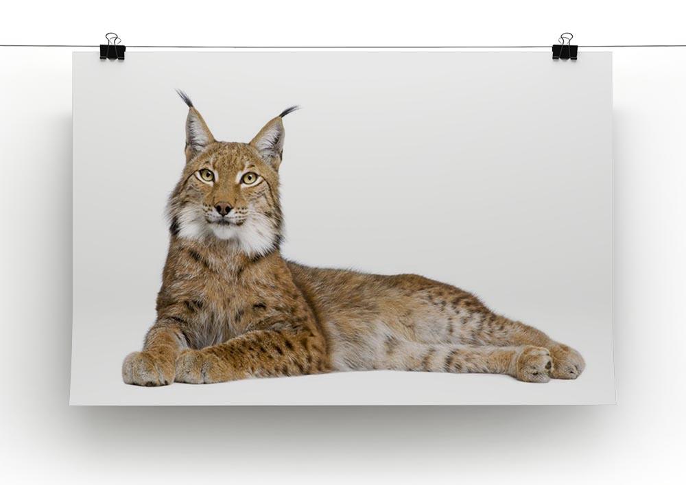 Eurasian Lynx Canvas Print or Poster - Canvas Art Rocks - 2