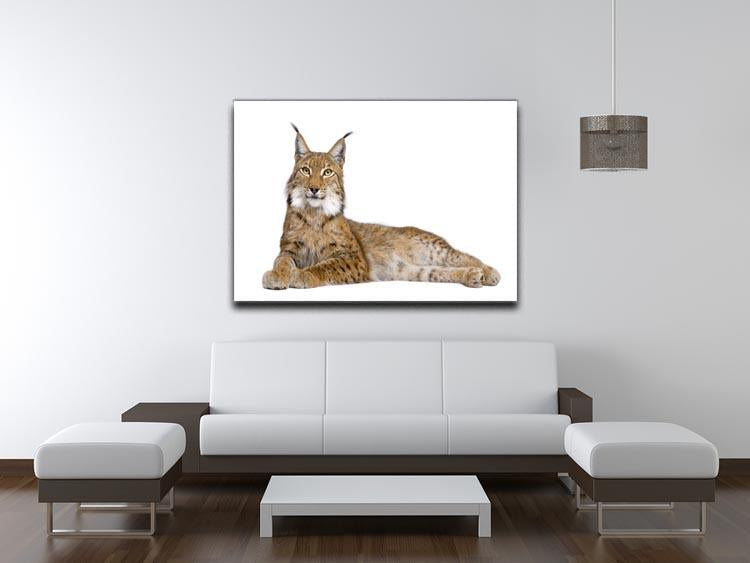 Eurasian Lynx Canvas Print or Poster - Canvas Art Rocks - 4