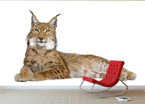 Eurasian Lynx Wall Mural Wallpaper - Canvas Art Rocks - 2