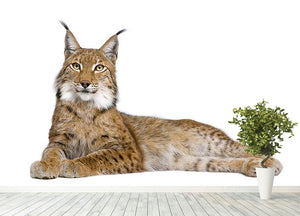 Eurasian Lynx Wall Mural Wallpaper - Canvas Art Rocks - 4