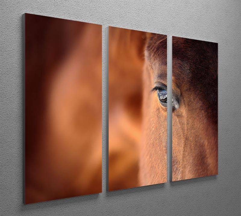 Eye of Arabian bay horse 3 Split Panel Canvas Print - Canvas Art Rocks - 2