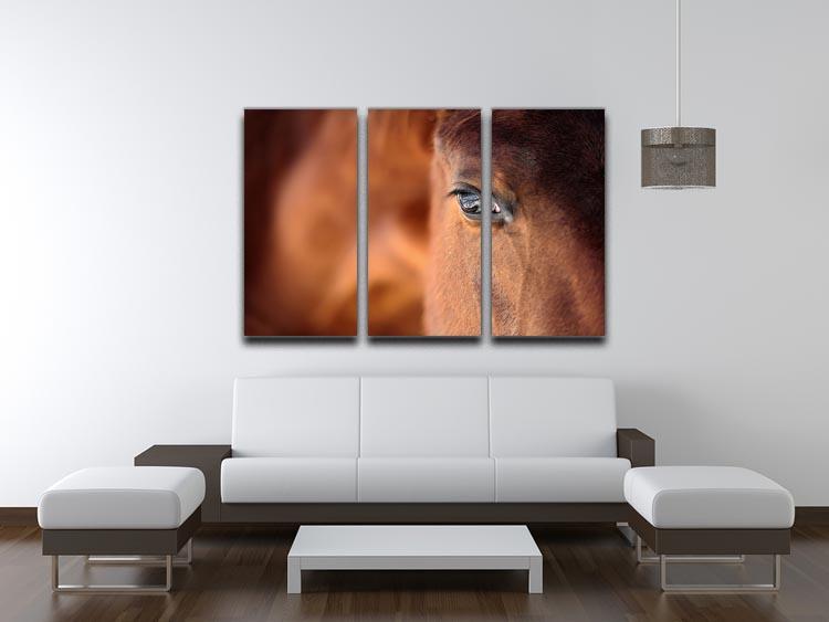 Eye of Arabian bay horse 3 Split Panel Canvas Print - Canvas Art Rocks - 3