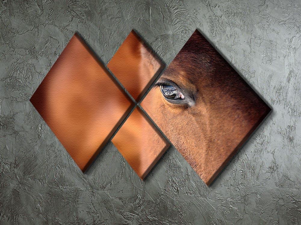 Eye of Arabian bay horse 4 Square Multi Panel Canvas - Canvas Art Rocks - 2