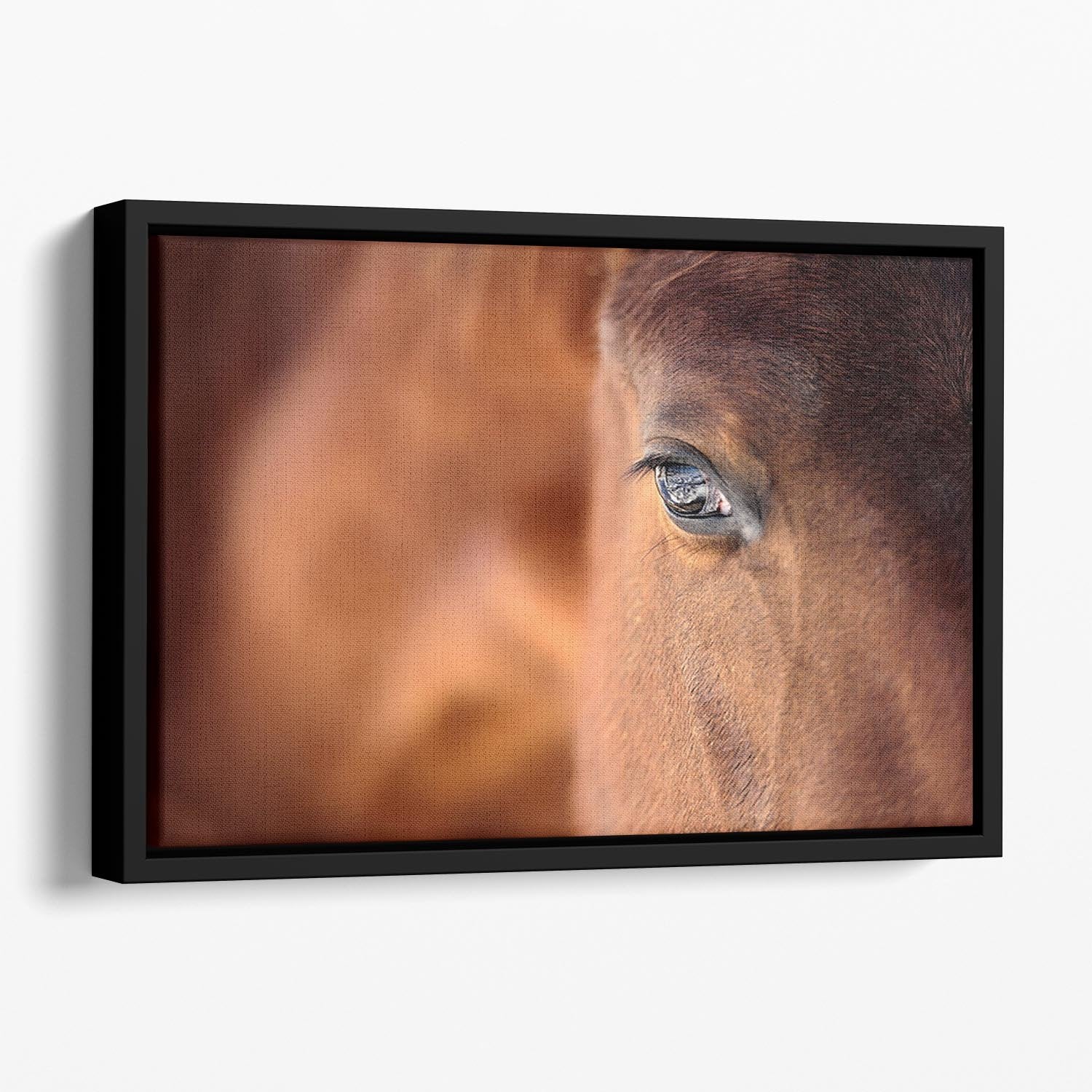 Eye of Arabian bay horse Floating Framed Canvas - Canvas Art Rocks - 1