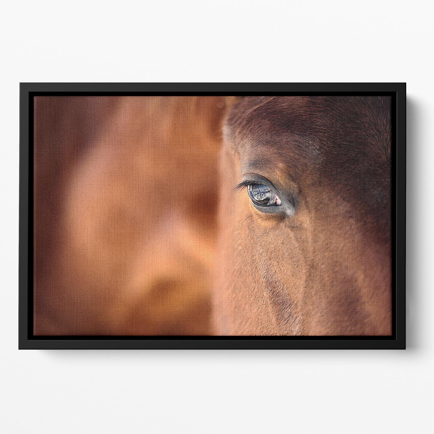Eye of Arabian bay horse Floating Framed Canvas - Canvas Art Rocks - 2
