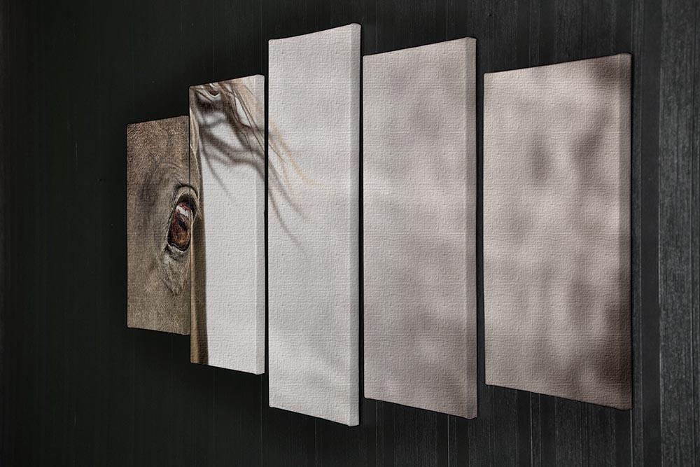 Eye of horse 5 Split Panel Canvas - Canvas Art Rocks - 2