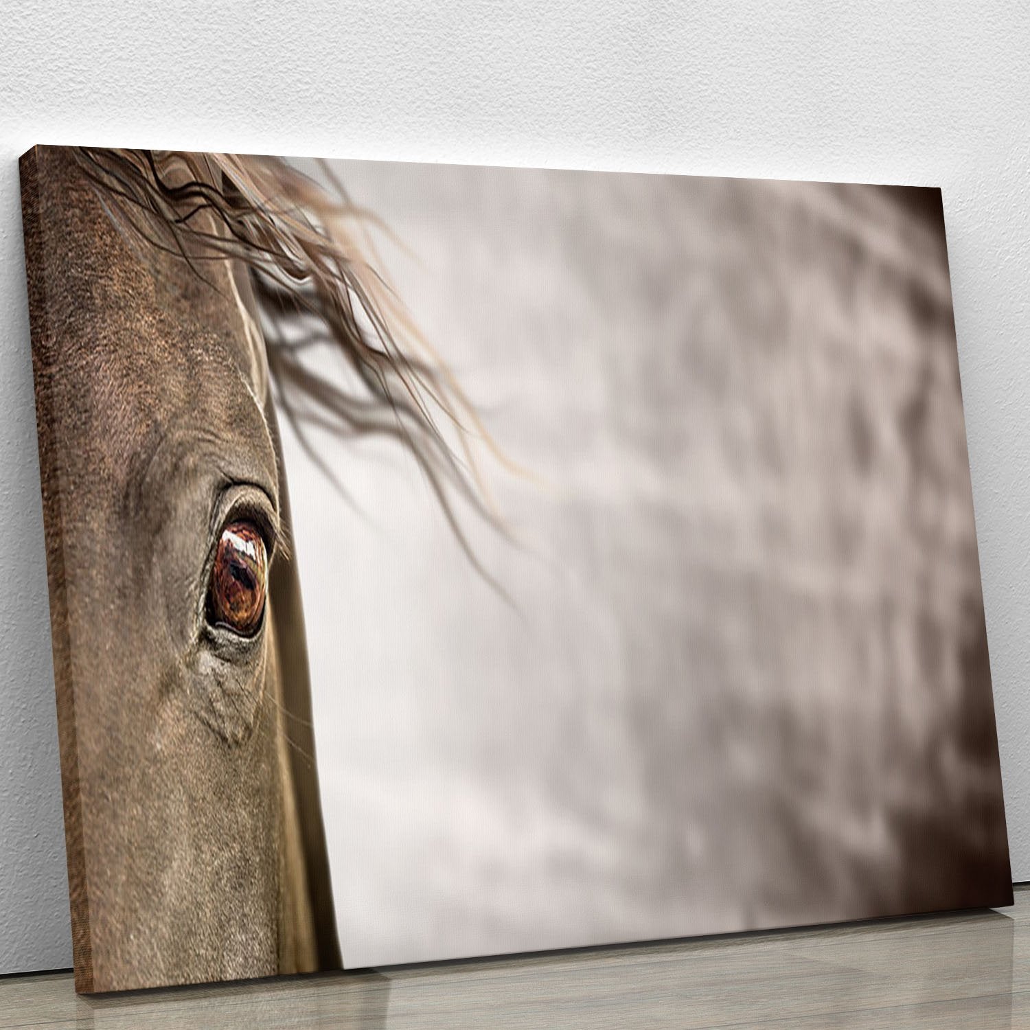 Eye of horse Canvas Print or Poster