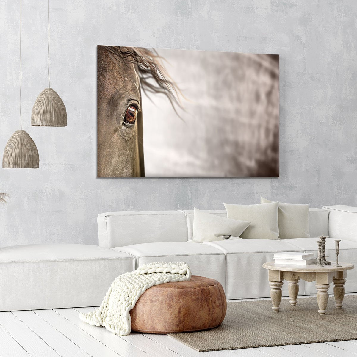 Eye of horse Canvas Print or Poster