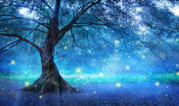 Fairy Tree In Mystic Forest Wall Mural Wallpaper