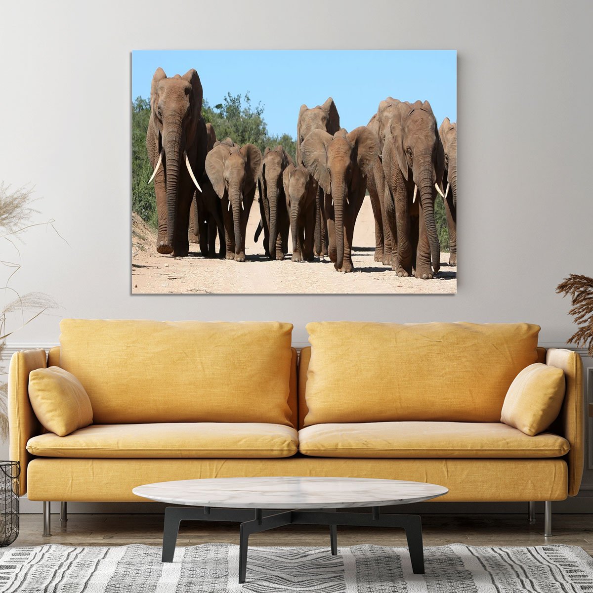 Family herd of African elephants on the move Canvas Print or Poster