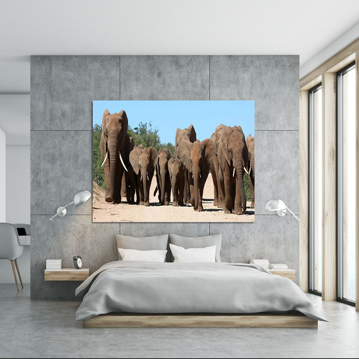 Family herd of African elephants on the move Canvas Print or Poster