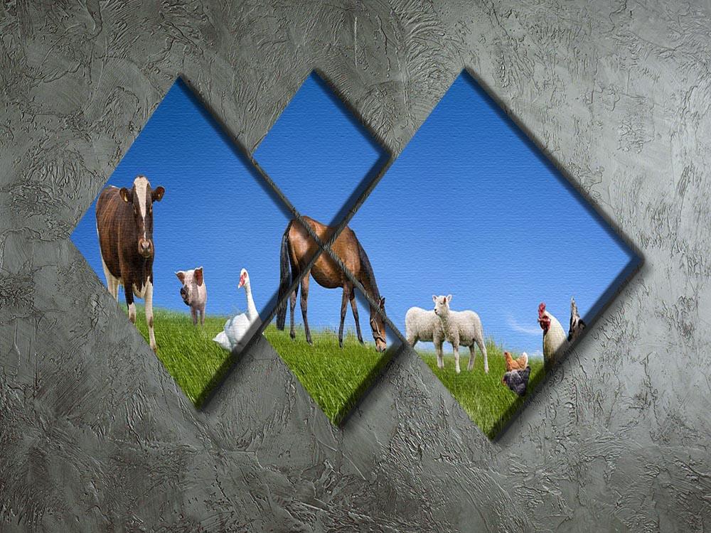 Farm animals collection 4 Square Multi Panel Canvas - Canvas Art Rocks - 2