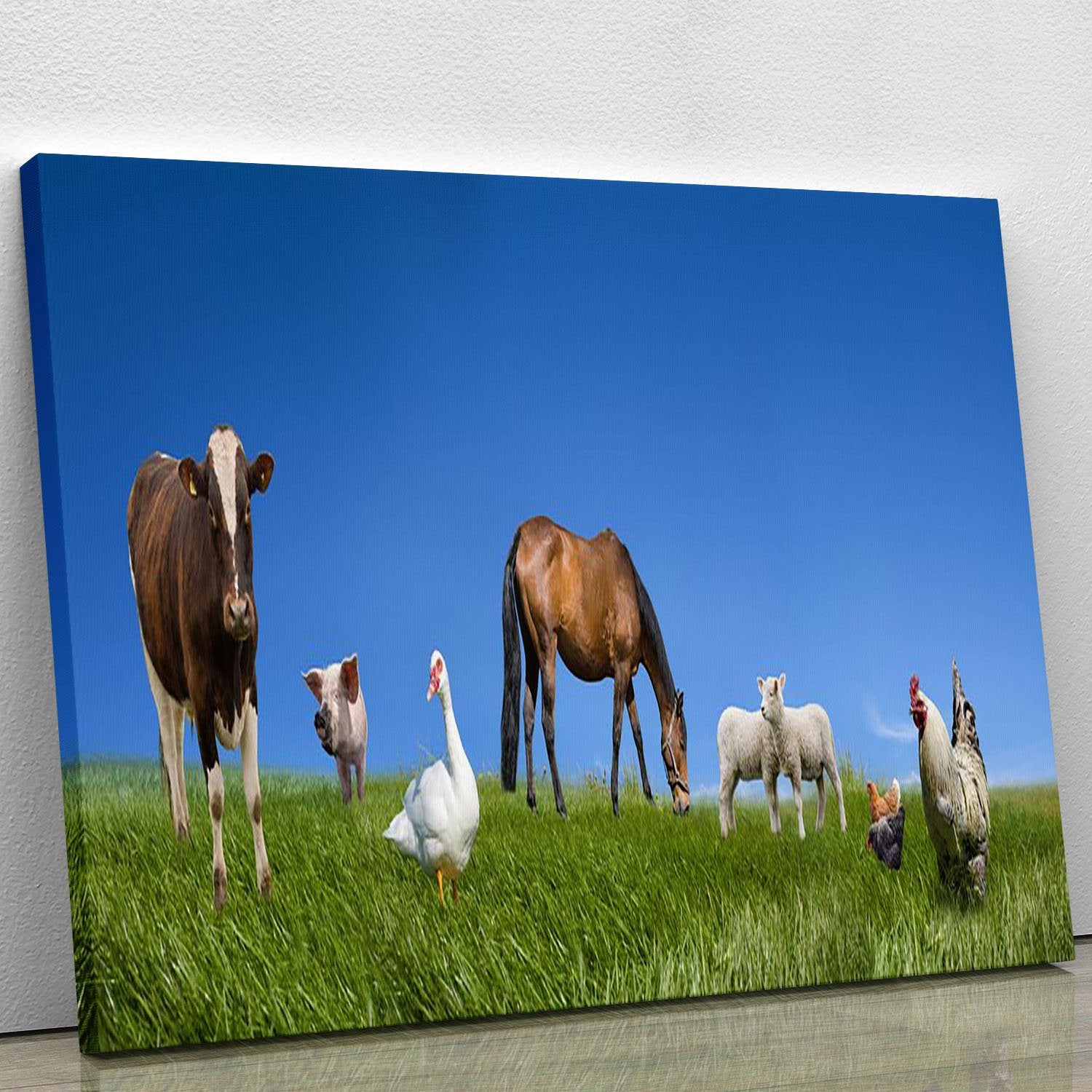 Farm animals collection Canvas Print or Poster