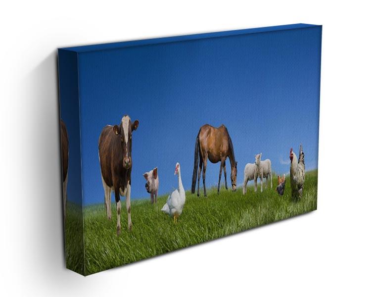 Farm animals collection Canvas Print or Poster - Canvas Art Rocks - 3