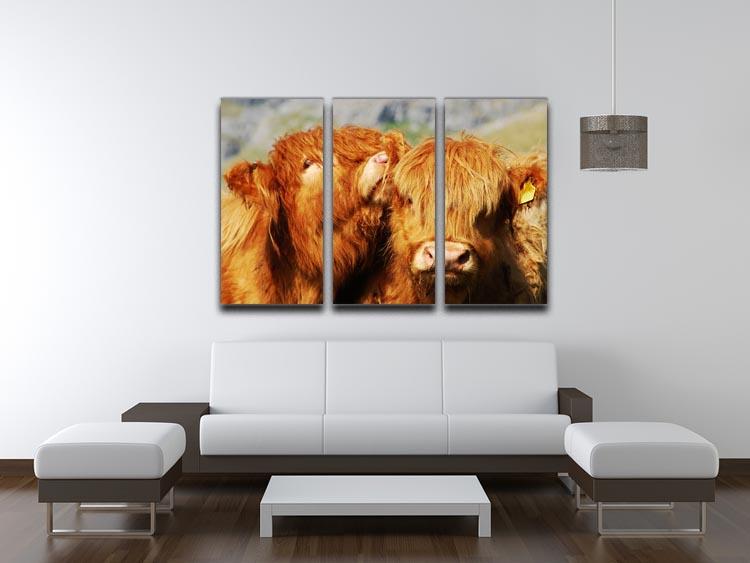 Farm cows 3 Split Panel Canvas Print - Canvas Art Rocks - 3
