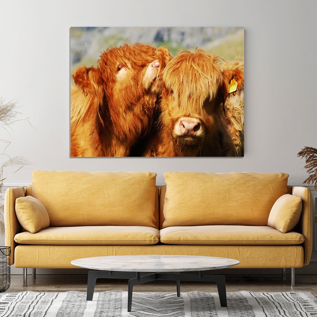 Farm cows Canvas Print or Poster