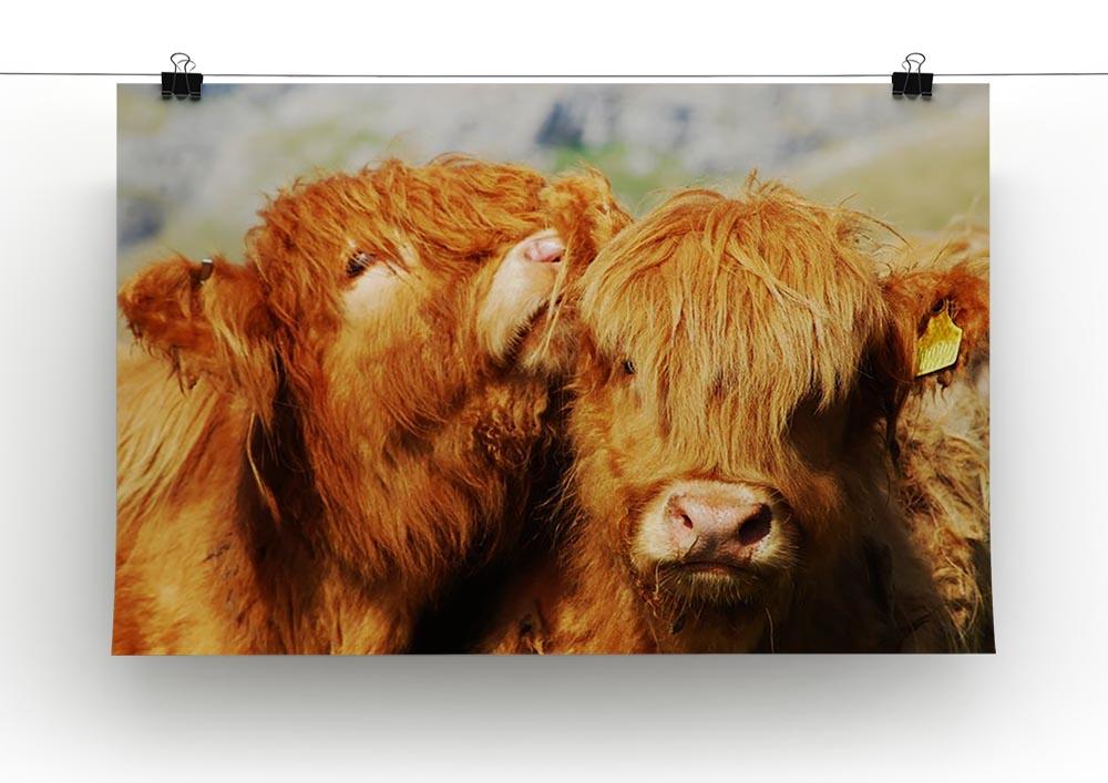 Farm cows Canvas Print or Poster - Canvas Art Rocks - 2