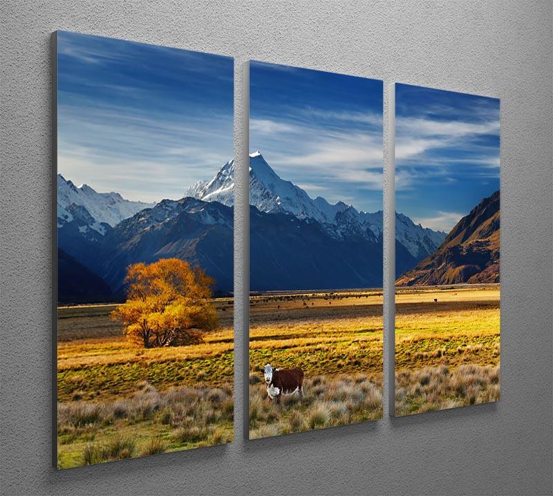 Farmland with grazing cows and Mount Cook 3 Split Panel Canvas Print - Canvas Art Rocks - 2