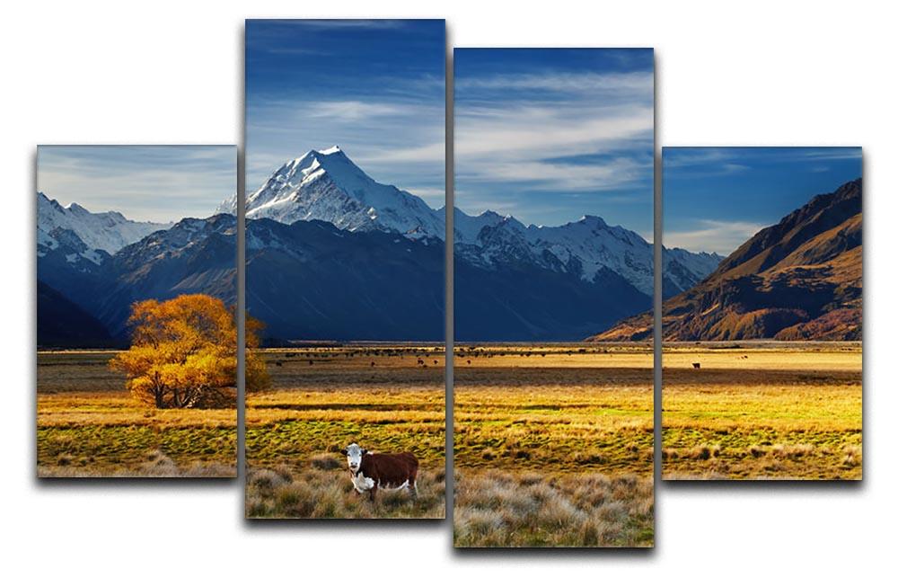 Farmland with grazing cows and Mount Cook 4 Split Panel Canvas - Canvas Art Rocks - 1