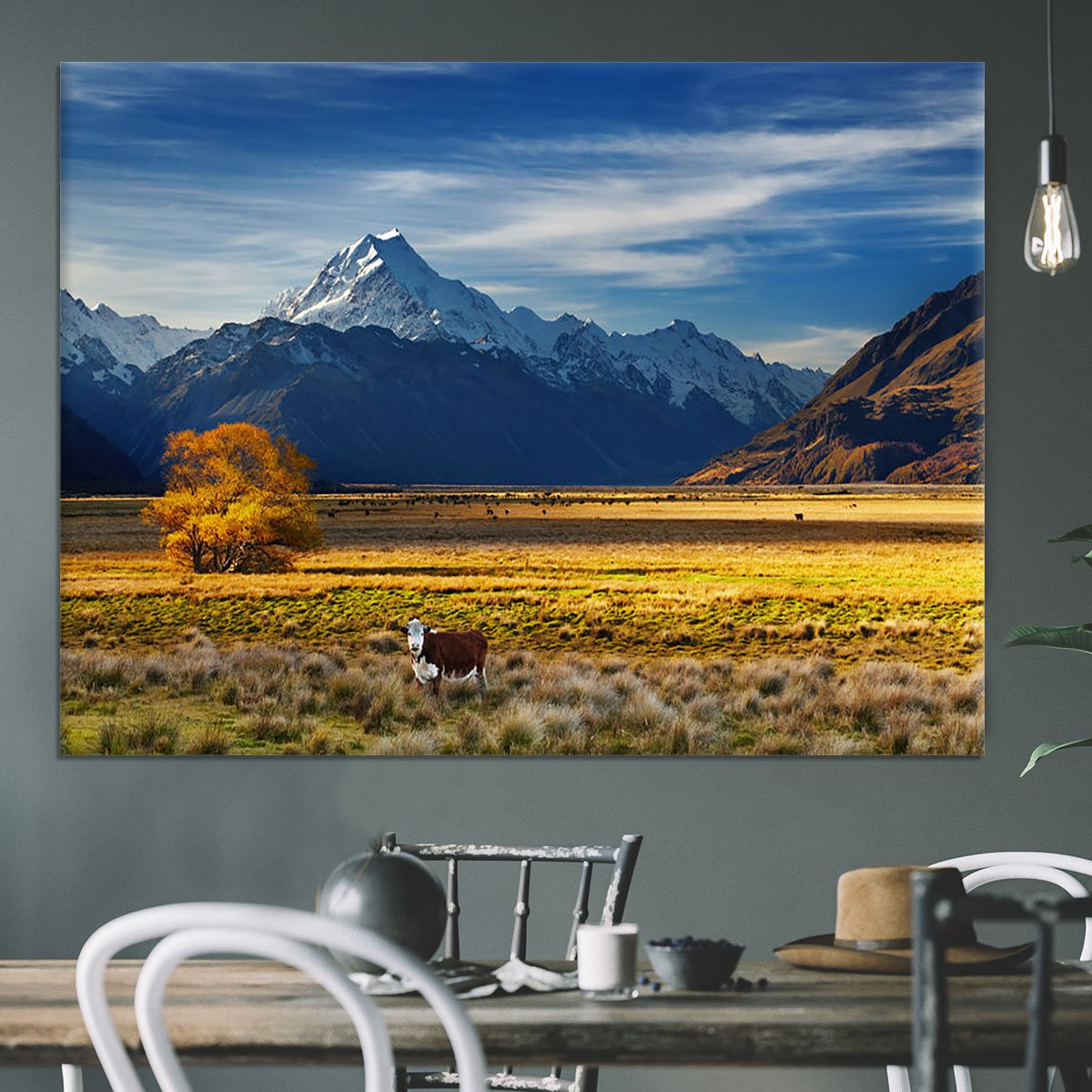 Farmland with grazing cows and Mount Cook Canvas Print or Poster