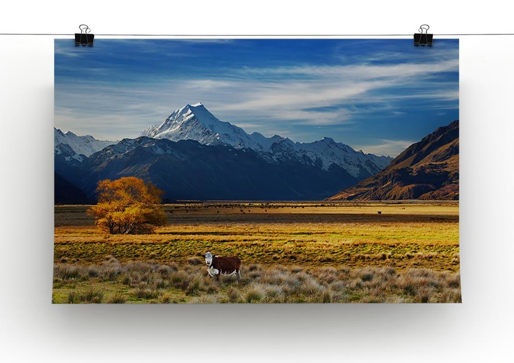 Farmland with grazing cows and Mount Cook Canvas Print or Poster - Canvas Art Rocks - 2