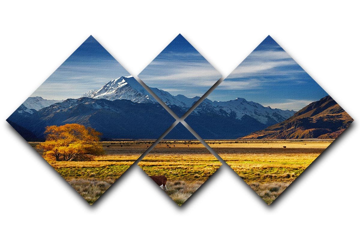 Farmland with grazing cows and Mount Cook on background 4 Square Multi Panel Canvas - Canvas Art Rocks - 1