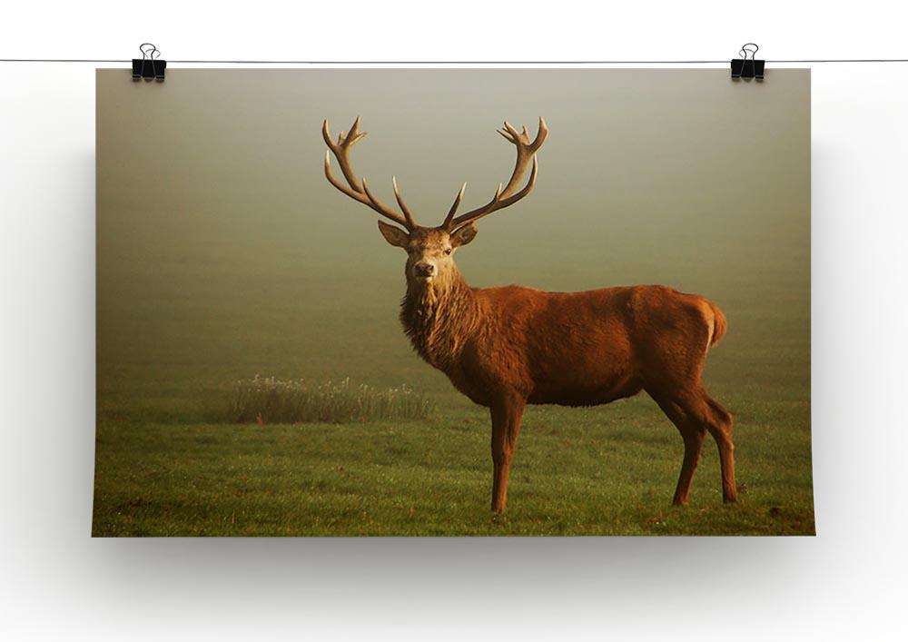 Fawn Canvas Print or Poster - Canvas Art Rocks - 2
