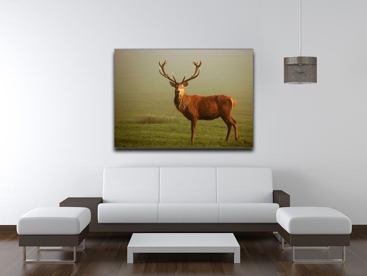 Fawn Canvas Print or Poster - Canvas Art Rocks - 4