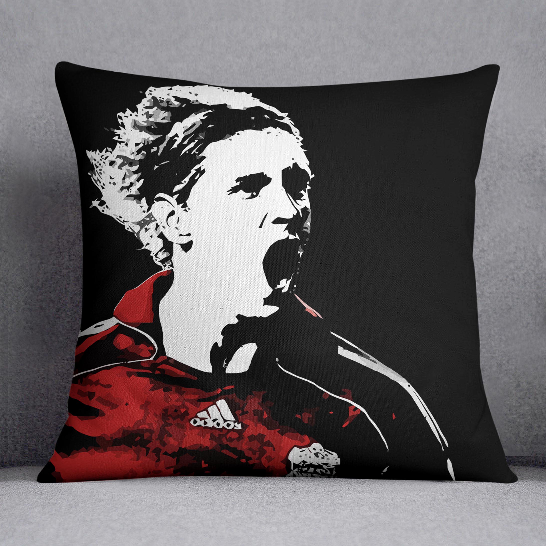 Fernando Torres Cushion