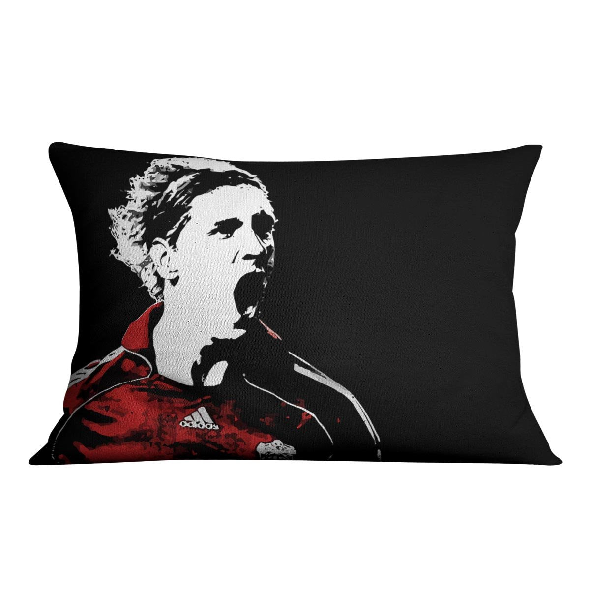 Fernando Torres Cushion