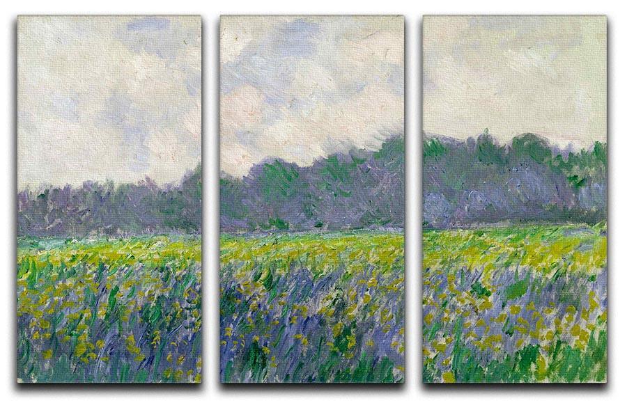 Field of Yellow Irises by Monet Split Panel Canvas Print - Canvas Art Rocks - 4