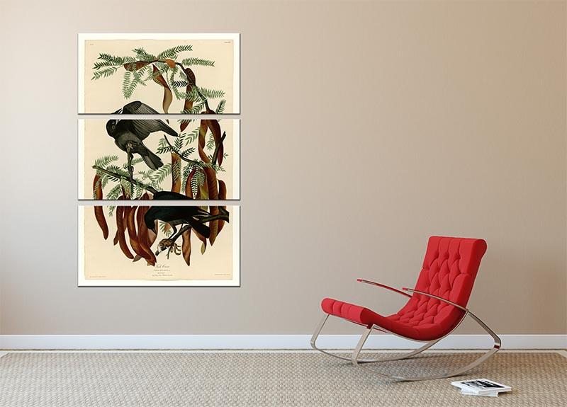 Fish Crow by Audubon 3 Split Panel Canvas Print - Canvas Art Rocks - 2