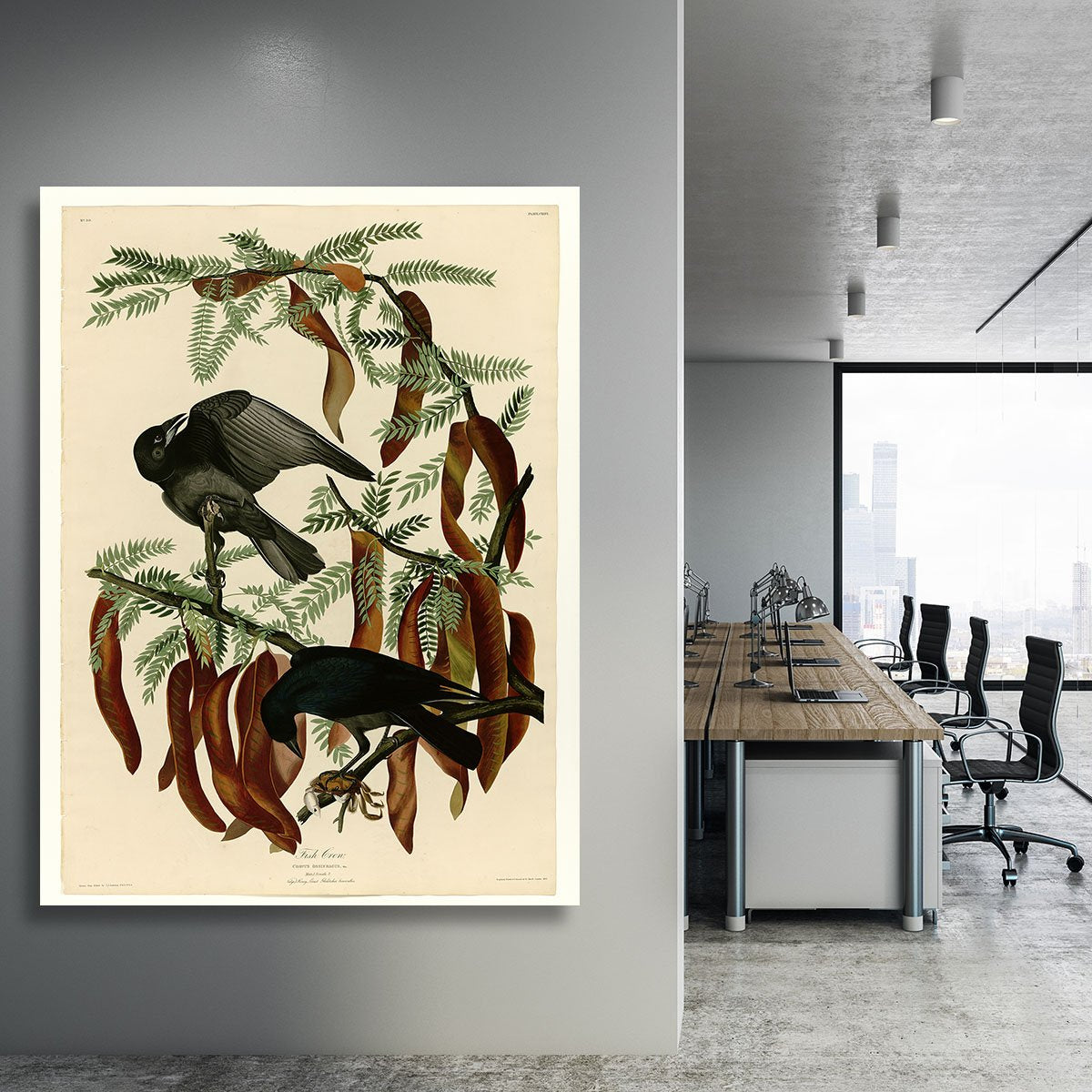 Fish Crow by Audubon Canvas Print or Poster