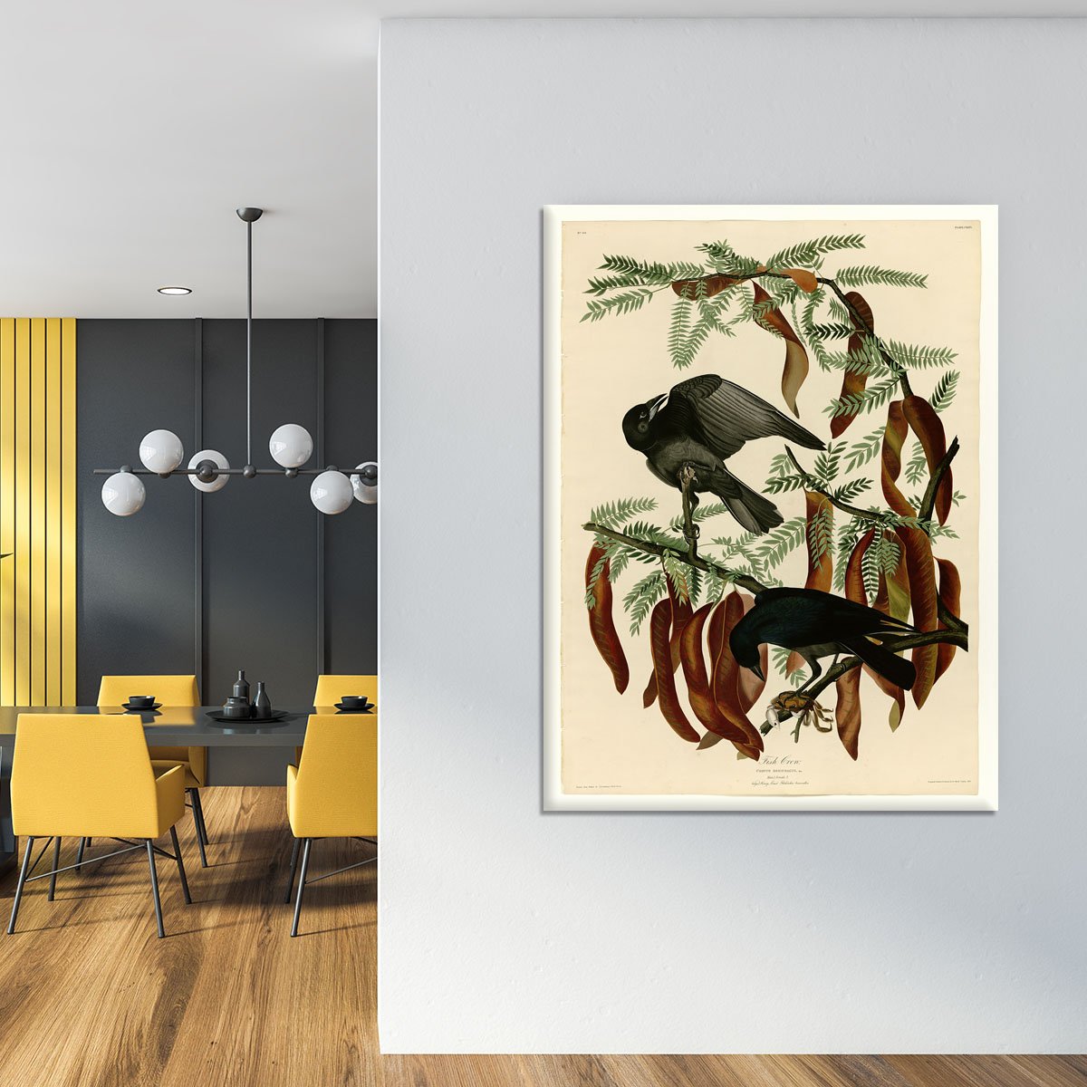 Fish Crow by Audubon Canvas Print or Poster