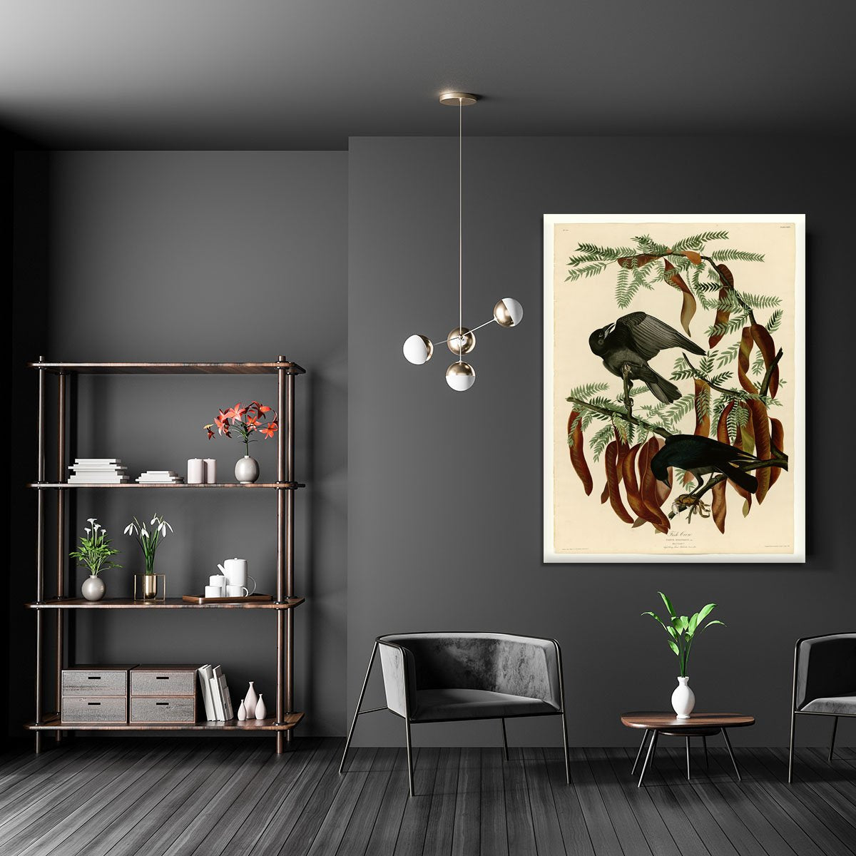 Fish Crow by Audubon Canvas Print or Poster