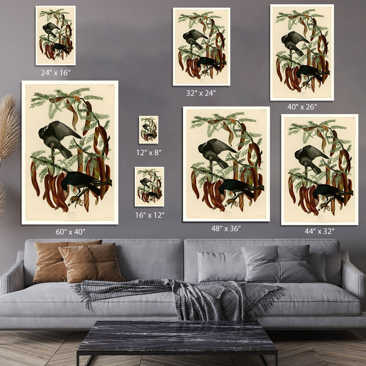 Fish Crow by Audubon Canvas Print or Poster